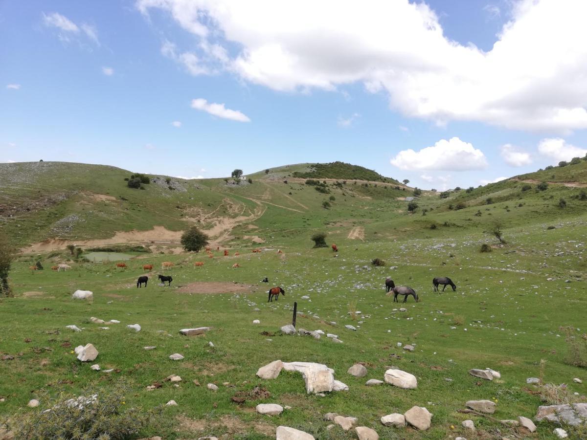 Olympus Country House Karia  Εξωτερικό φωτογραφία