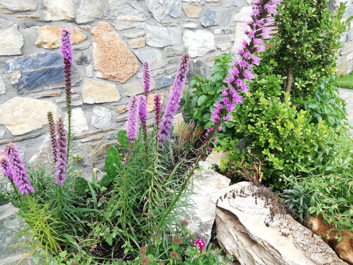 Olympus Country House Karia  Εξωτερικό φωτογραφία